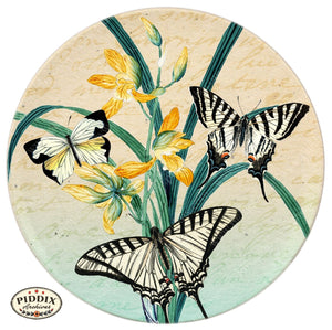 Pdxc5729 Butterfly Botanical Original Collage