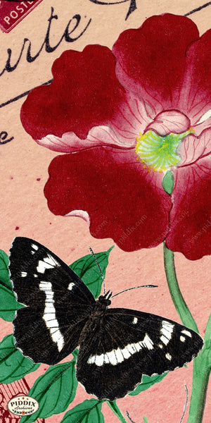 Pdxc5730 Butterfly Botanical Original Collage