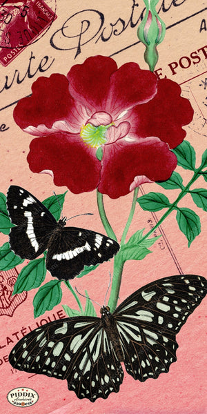 Pdxc5730 Butterfly Botanical Original Collage