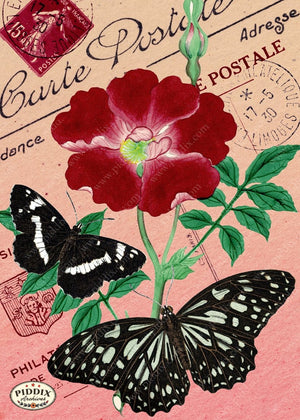 Pdxc5730 Butterfly Botanical Original Collage