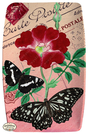 Pdxc5730 Butterfly Botanical Original Collage