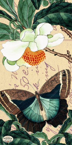 Pdxc5731 Butterfly Botanical Original Collage