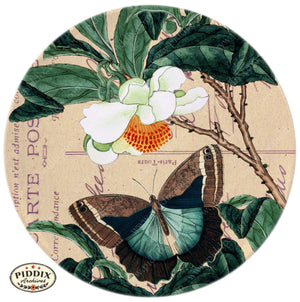 Pdxc5731 Butterfly Botanical Original Collage