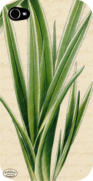 Pdxc5952 -- Plants & Leaves Original Collage