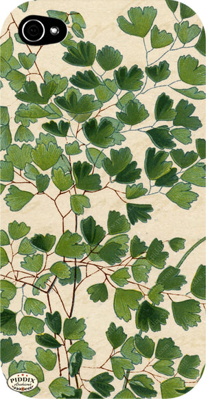 Pdxc5953B -- Plants & Leaves Color Illustration