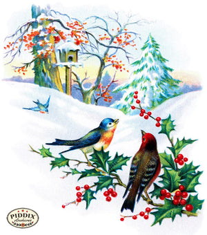 Pdxc6071 -- Christmas Birds Color Illustration
