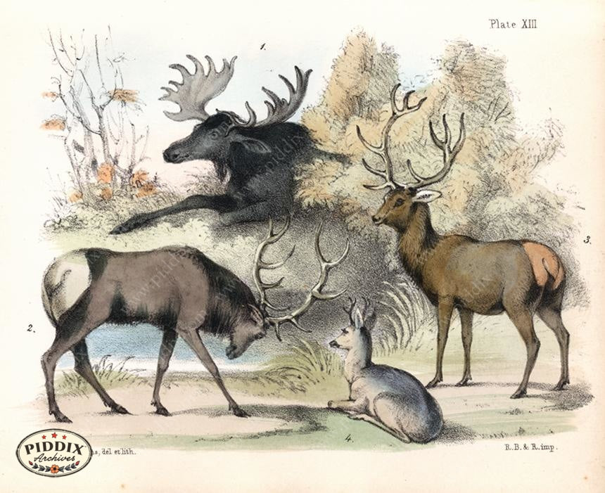 Pdxc7230 -- New For June Color Illustration