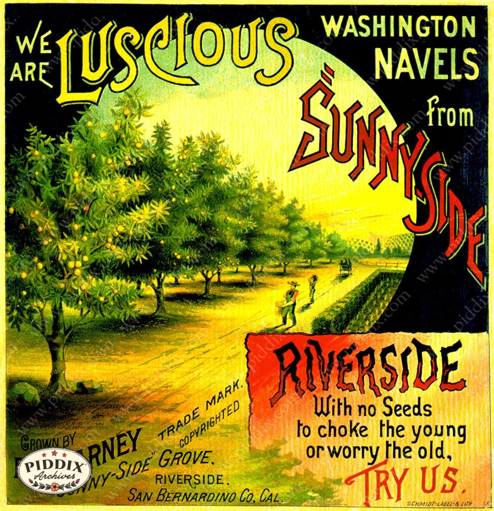 Pdxc7281 -- Vintage Travel Posters Poster