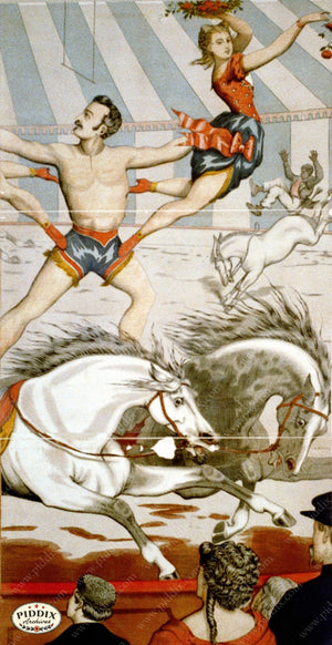Pdxc7829 A B C & D -- Circus Posters Poster