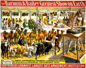 Pdxc7855 -- Circus Posters Poster