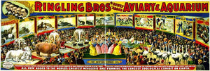 Pdxc7856 -- Circus Posters Poster