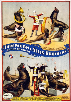 Pdxc7860 -- Circus Posters Poster