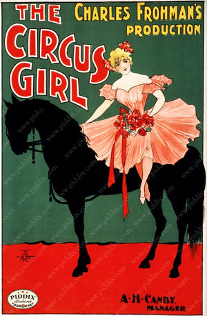 Pdxc7872 -- Circus Posters Poster
