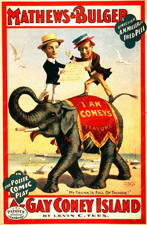 Pdxc7878 -- Circus Posters Poster