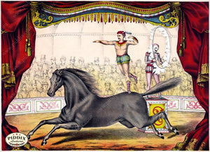 Pdxc7883 -- Circus Posters Poster