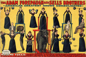 Pdxc7886 -- Circus Posters Poster