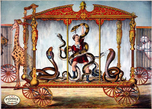 Pdxc7889 -- Circus Posters Poster