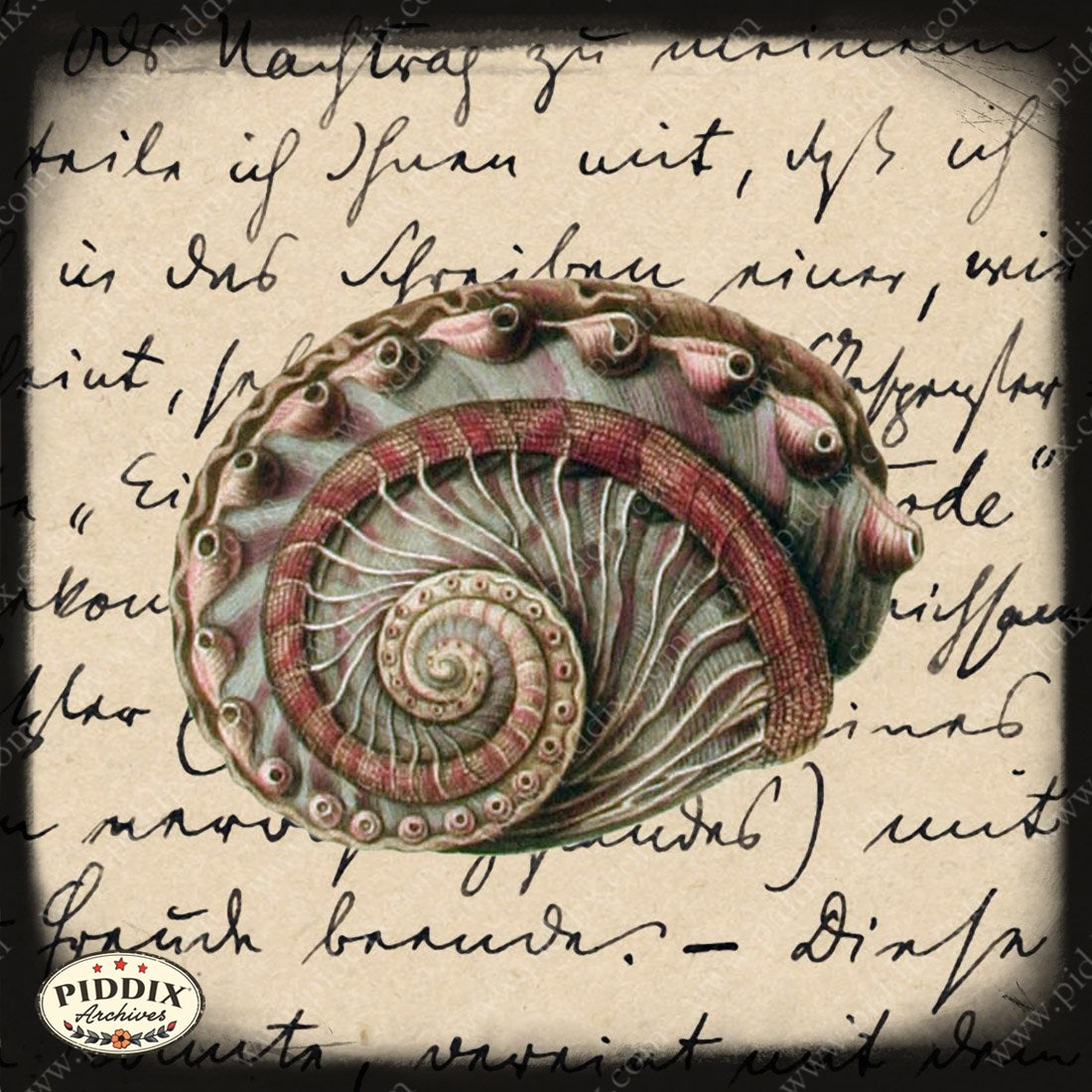 Pdxc7992 -- New For November Color Illustration