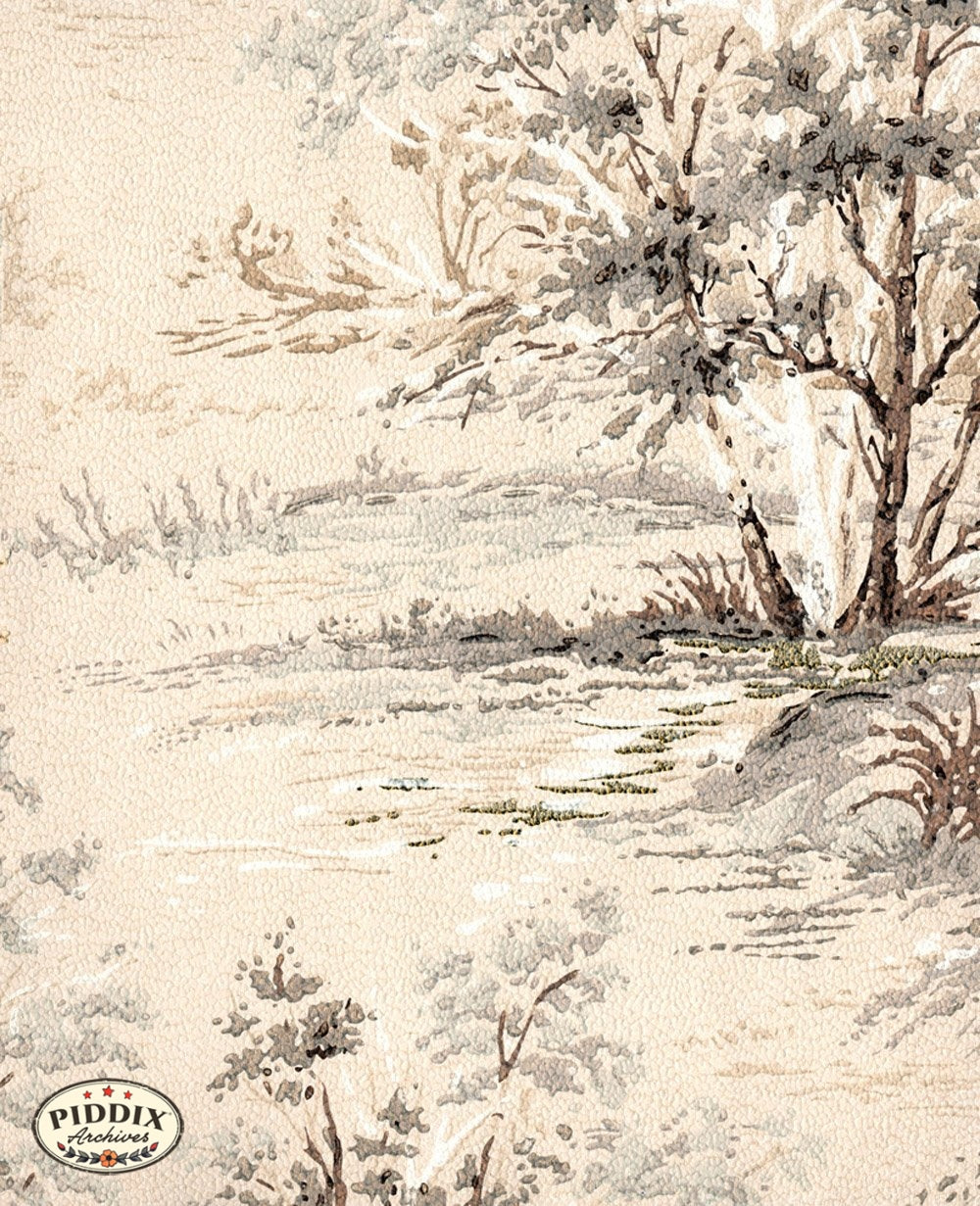 Pdxc8006 -- Mid-Century Patterns Color Illustration