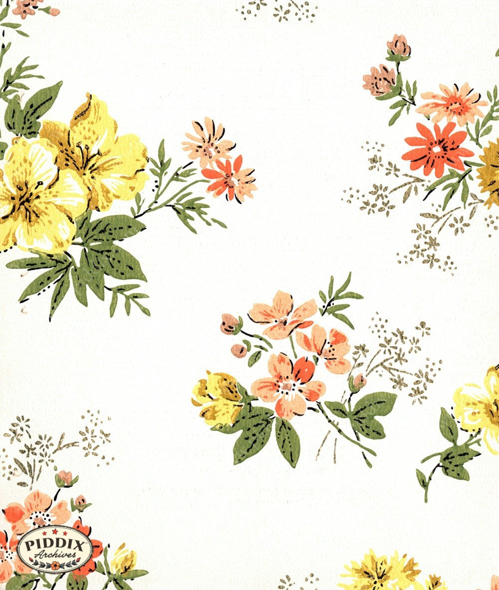Pdxc8024 -- Mid-Century Patterns Color Illustration