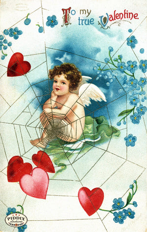 Pdxc8248 -- Valentines Day Postcard
