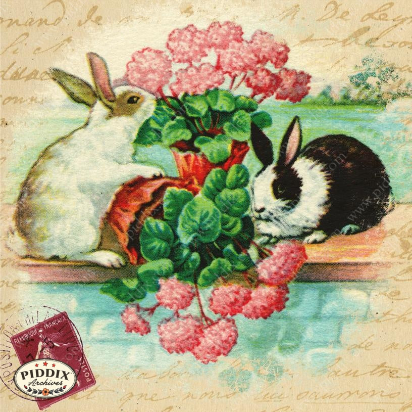 Pdxc9112B -- New For June Color Illustration