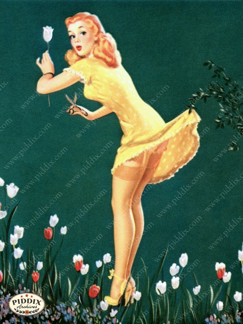 Pdxc9290 -- Pin-Ups Color Illustration