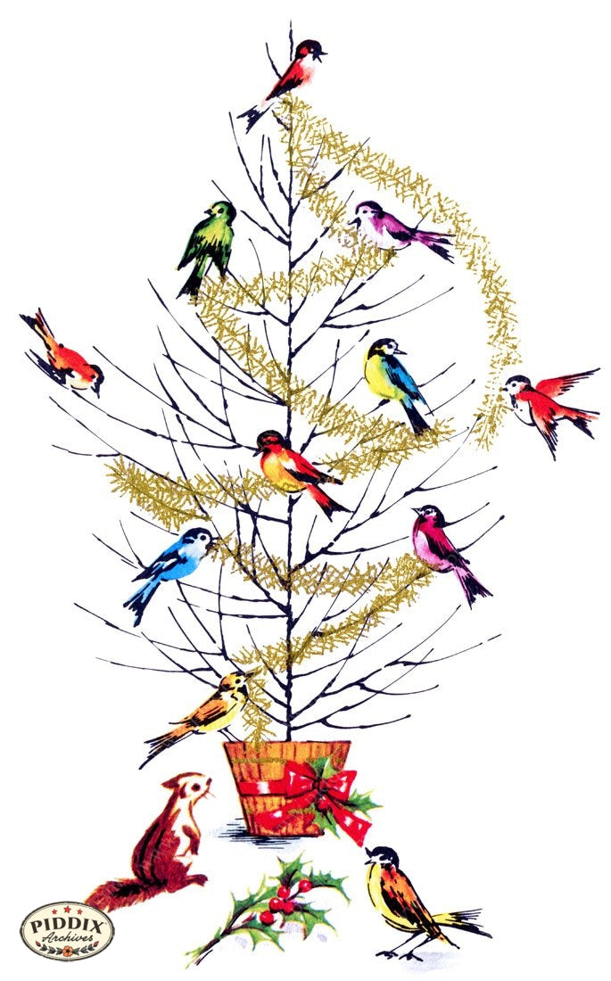 Pdxc9780 -- Christmas Birds Color Illustration