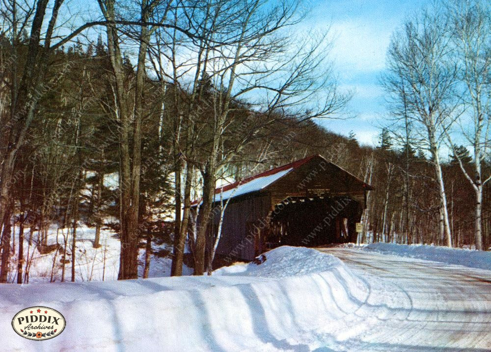 Pdxc9788 -- Snowy Scenes Color Illustration