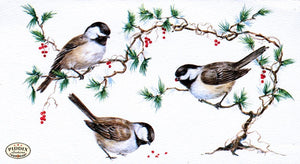 Pdxc9806 -- Christmas Birds Color Illustration